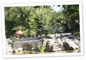 Garten4