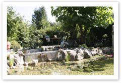 Garten5
